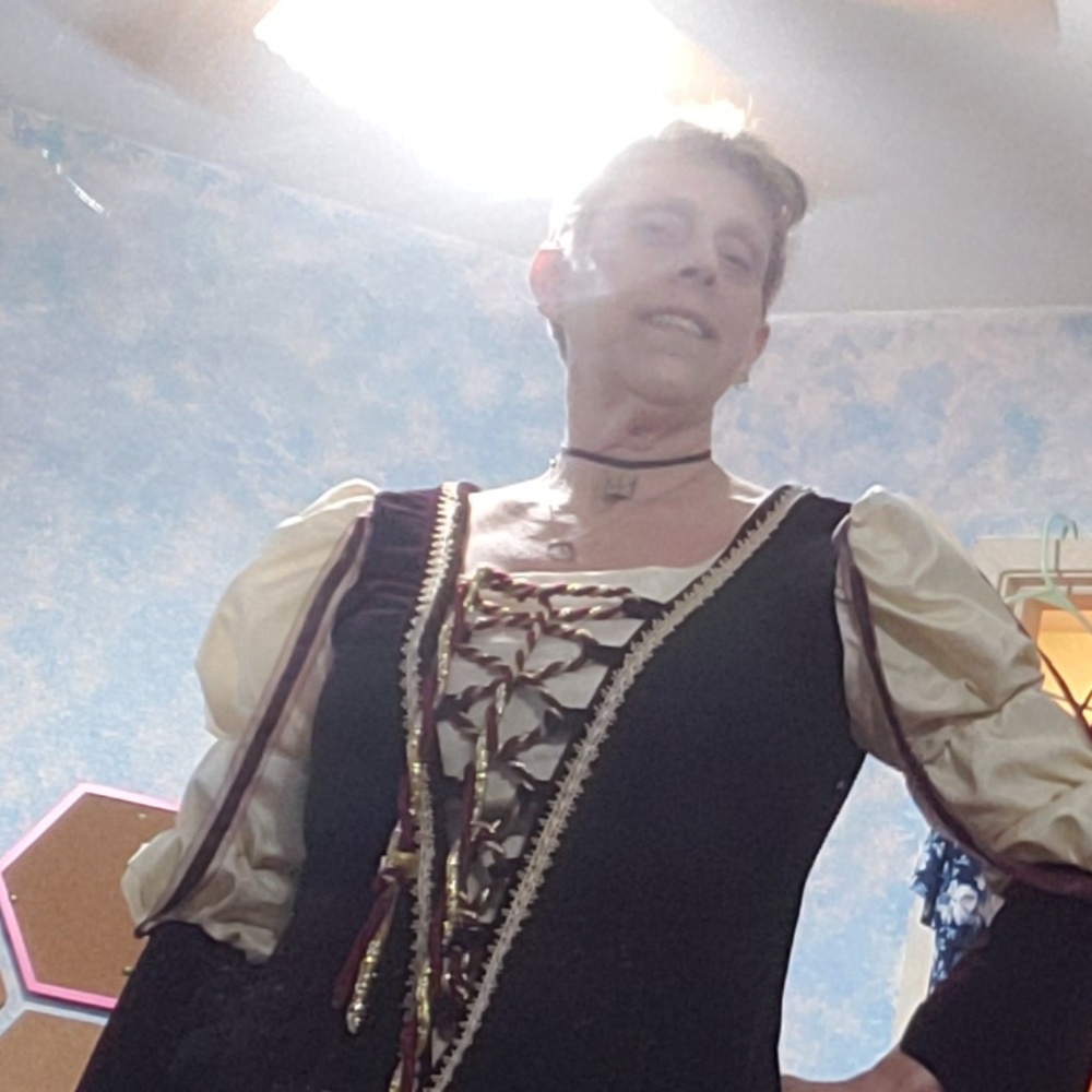 Renaissance dress professionally hand made,